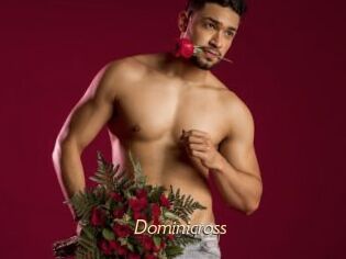 Dominicross