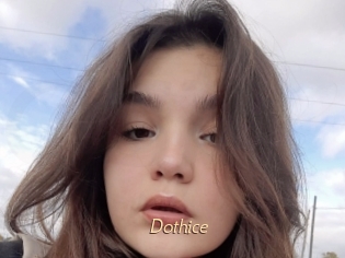 Dothice