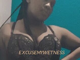 EXCUSEMYWETNESS