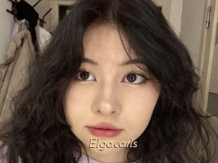 Elgacarls