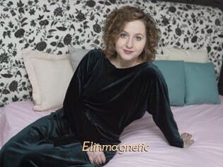 Elinmagnetic