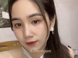 Elisanajam