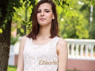 Ellieorhid