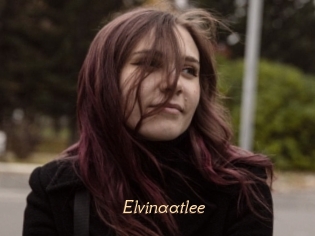 Elvinaatlee
