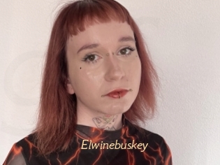 Elwinebuskey