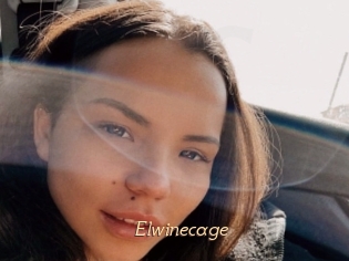 Elwinecage