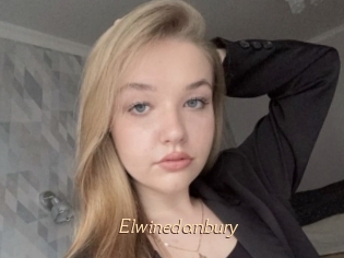 Elwinedanbury