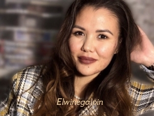 Elwinegalpin