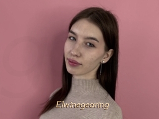 Elwinegearing