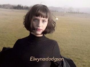 Elwynadodgson