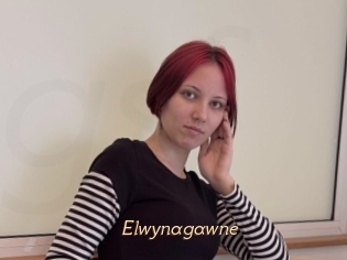 Elwynagawne