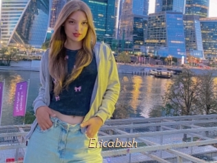Ericabush