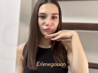 Erlenegosson