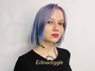 Erlinadiggle