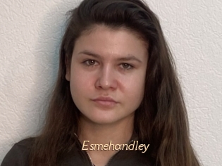 Esmehandley