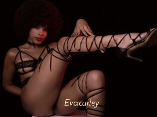 Evacurley
