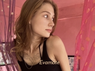 Evamate