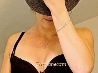 Evastonecam