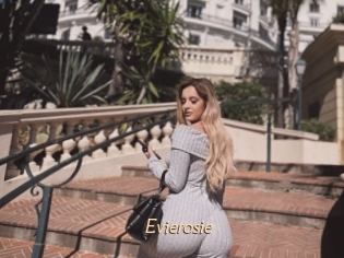 Evierosie