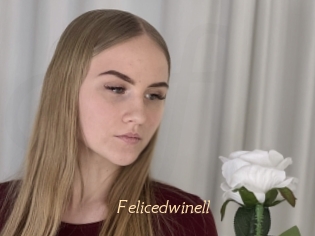Felicedwinell
