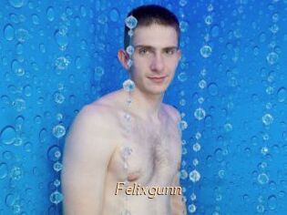 Felixgunn