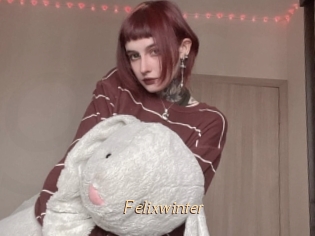 Felixwinter