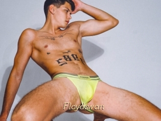 Floydswan