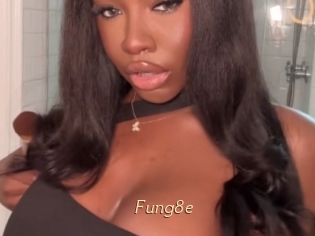 Fung8e