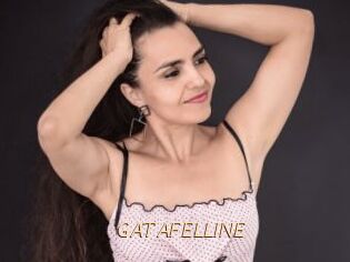 GATAFELLINE