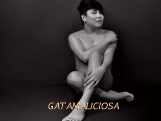 GATAMALICIOSA
