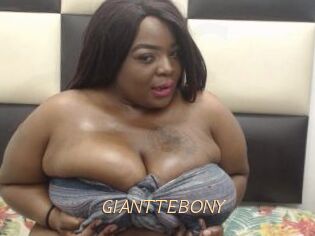 GIANTTEBONY