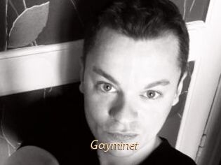 Gayminet