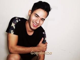 Gavoloaiza
