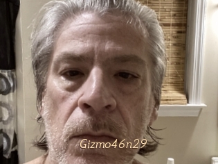 Gizmo46n29