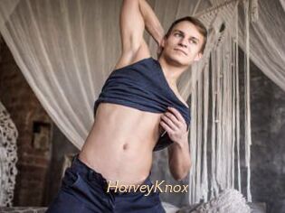 HarveyKnox