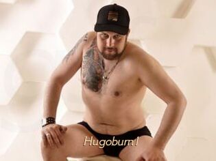 Hugoburn1