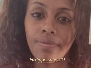 Hairypussyhot20