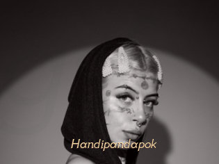Handipandapok