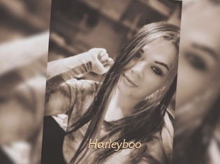 Harleyboo