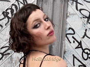 Hollisaldridge
