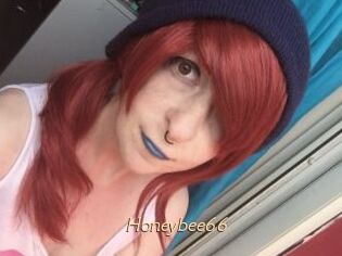 Honeybee66