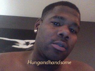 Hungandhandsome