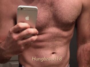 Hungbistud18