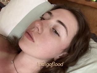 Indigoflood