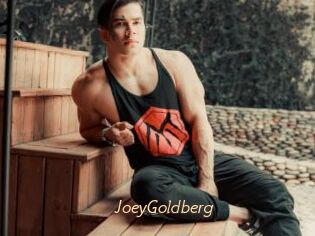 JoeyGoldberg