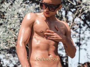 JoshuaFox