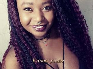 Kannel_passie