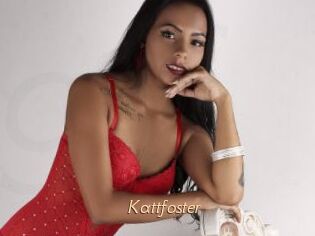 Kattfoster