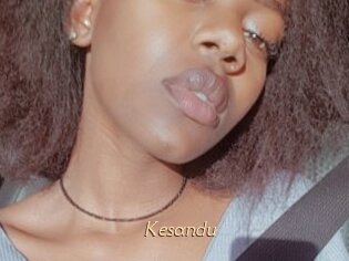 Kesandu