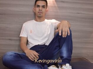 Kevingaviria